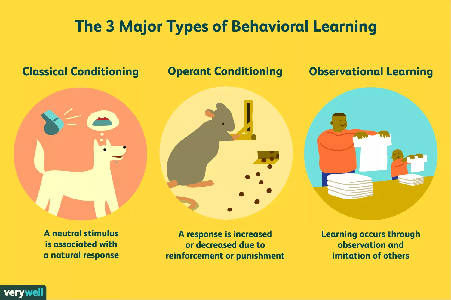 The 3 major types of behavioral learning
